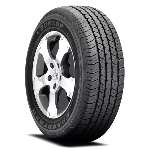 Dunlop Grandtrek At20 Tire P225/60R18 99H 300 B A | 290105035
