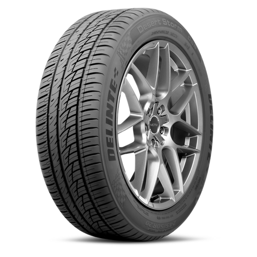 Delinte Ds8 295/30ZR22 Tires | 841623105372 | 295 30 22 Tire