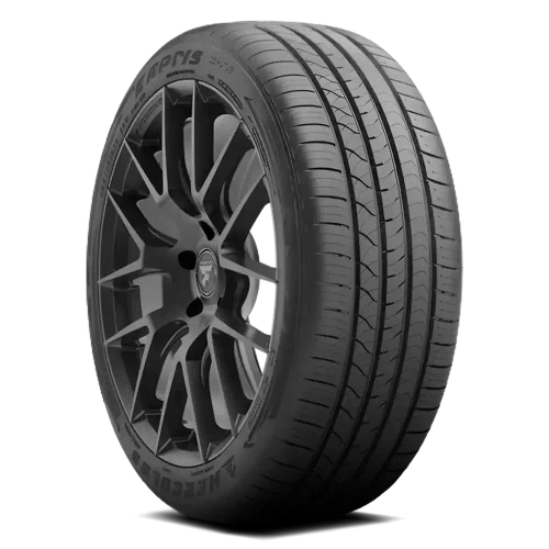 Hercules Raptis R-T6 Tire 255/40R19 100W 500 AA A | 98597