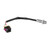 Holley EFI Cam Sync Kit w/ Bracket | GVMR 556-114