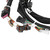 Holley EFI Ford Coyote Ti-VCT Capable HP EFI KitBosch O2 | GVMR 550-628