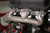 Hooker Small Block Chevrolet Exhaust Manifolds | BBVM 8525-3HKR
