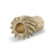 Mallory Gear AMC Bronze | BFKR 29425
