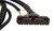 MSD 6-Hemi Harness 2003-2005 | BCCX 88863