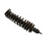 Bilstein Shock Absorber | BBGL 41-173435