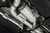 MBRP 3in. Cat-Back. Quad Split Rear. T304. Valve Delete | BKSJ S4612304