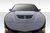 Duraflex Duraflex Stingray Z Hood | EXT 112616