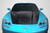 Carbon Creations Carbon Creations RKSV Hood | EXT 115183
