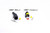 Morimoto Pigtail: H13/9008 Female | HTMC GT100