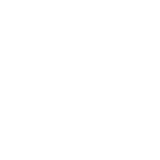 Aodhan Wheels Logo