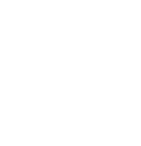 Dolce Luxury Wheels Logo