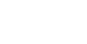 Endless Forged Wheels logo white