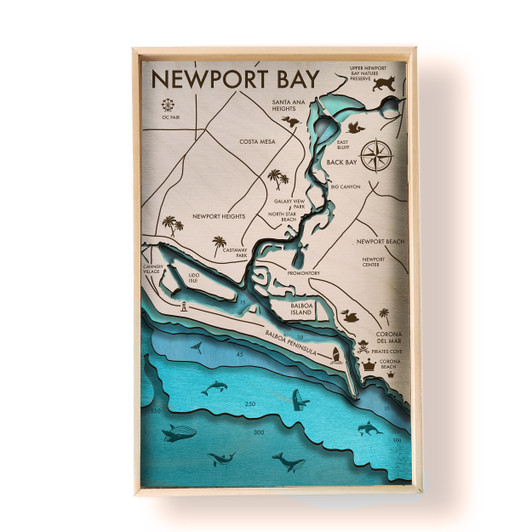 Newport Bay Topographic Wooden Map Preview in Room