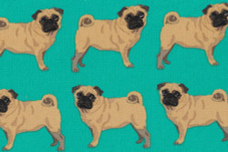 Dogs Pug Aqua