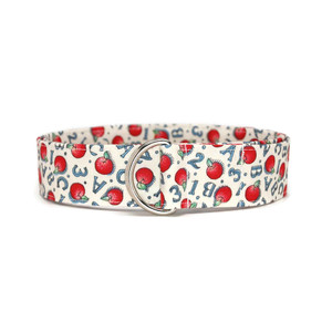 Apple For Teacher Fabric Belt Picture 1 Apple For Teacher Fabric Belt Picture 1