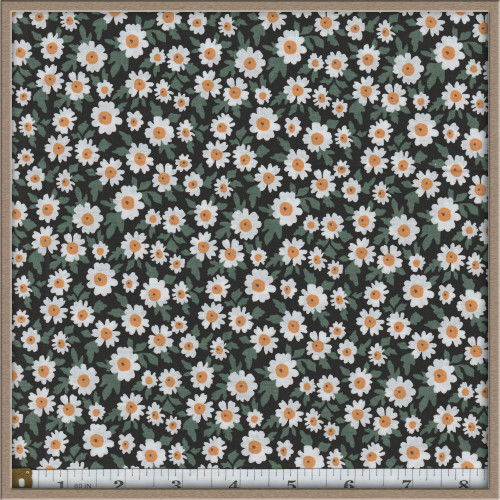 Daisies on Black