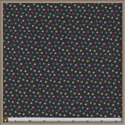 Colorful Paw Prints 