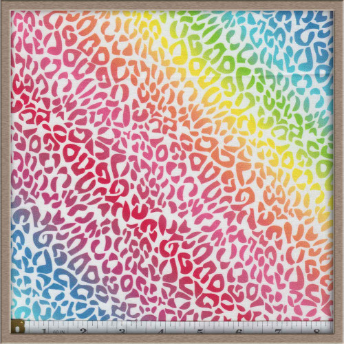 Cheetah Rainbow