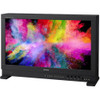 Sony BVM-HX310 31" 4K HDR Master Monitor
