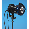 Hive Lighting Bee 50-C PAR Spot Omni-Color LED Light (Black)
