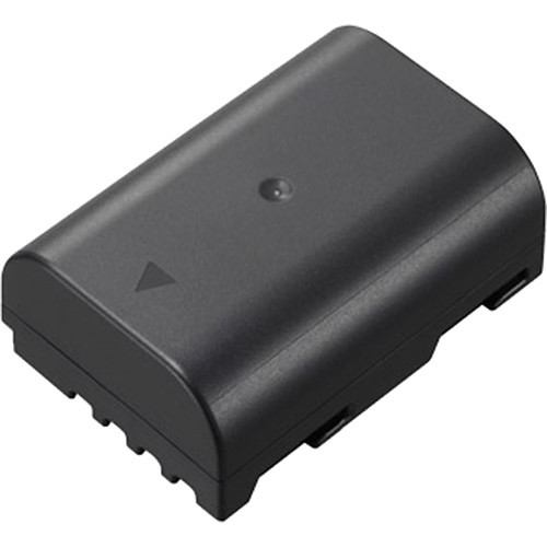 Panasonic純正　バッテリーパック　DMW-BLF19 Panasonic DMW-BLF19