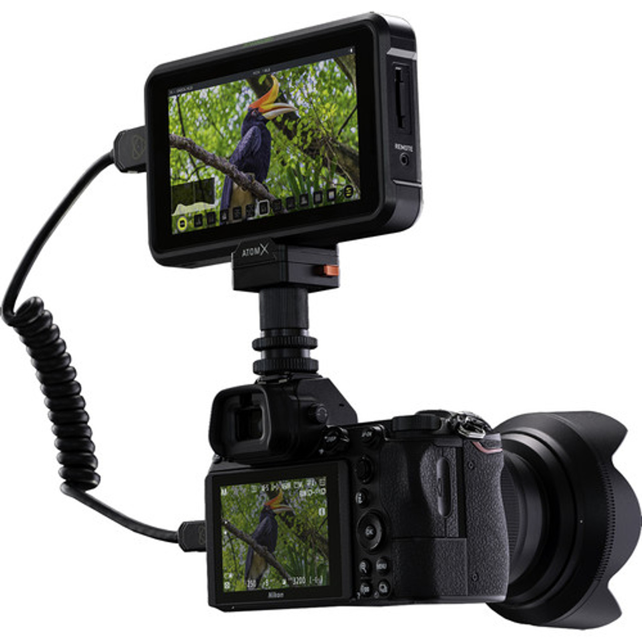 Atomos ATOMSHBH01 Shinobi 5.2