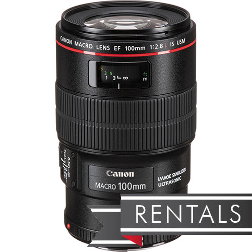 Canon 3554B002 EF 100mm f/2.8L Macro IS USM Lens