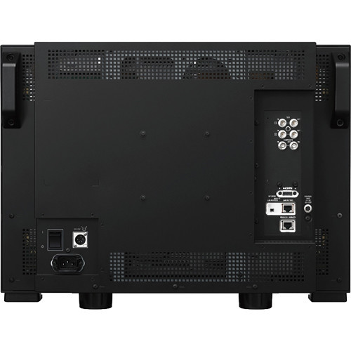Sony BVM-E251 24.5