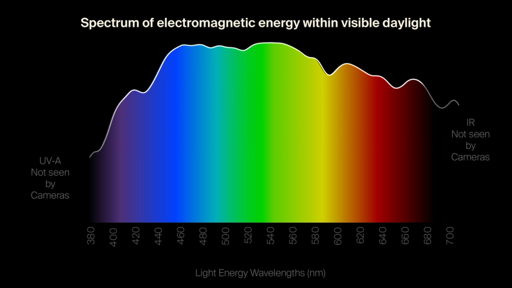 Spectrum of Visible Daylight