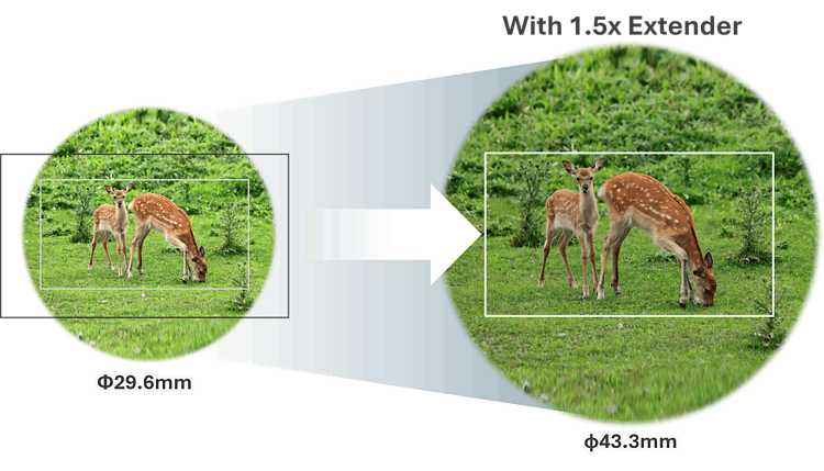 Canon CINE-SERVO 40-1200mm lens features