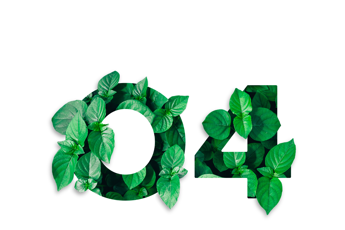 BirdDog logo