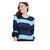 Women Navy Blue Striped Pullover