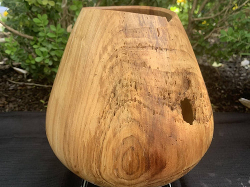 Accidental Woodturner Elm Vessel