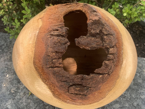 Accidental Woodturner Oak Vessel