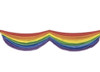 rainbow banner, gay flag banners