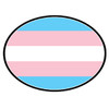 Transgender Flag - Transgender Pride LGBT Flag - Oval Car Magnet  transgender flag, transgender symbol, trans pride flags, transfem flags, transmasc flags, transgender car, transgender bumper, LGBTQ magnets, trans pride flag car magnet,  transgender magnets, LGBTQ store, pride store
