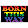 all pride flags, lgbtq flag, lesbian flag, rainbow pride flag, gay parade flags,  pride shop, gay stores near me, lady gaga born this way, 