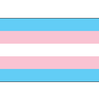 Transgender Flag Sticker - LGBT Transgender Pride - Car Decal Sticker  transgender flags, trans pride flag, transfem flag, transmasc flag, trans pride sticker, trans pride flags,, transgender pride flag, trans flag, transgender flags, 