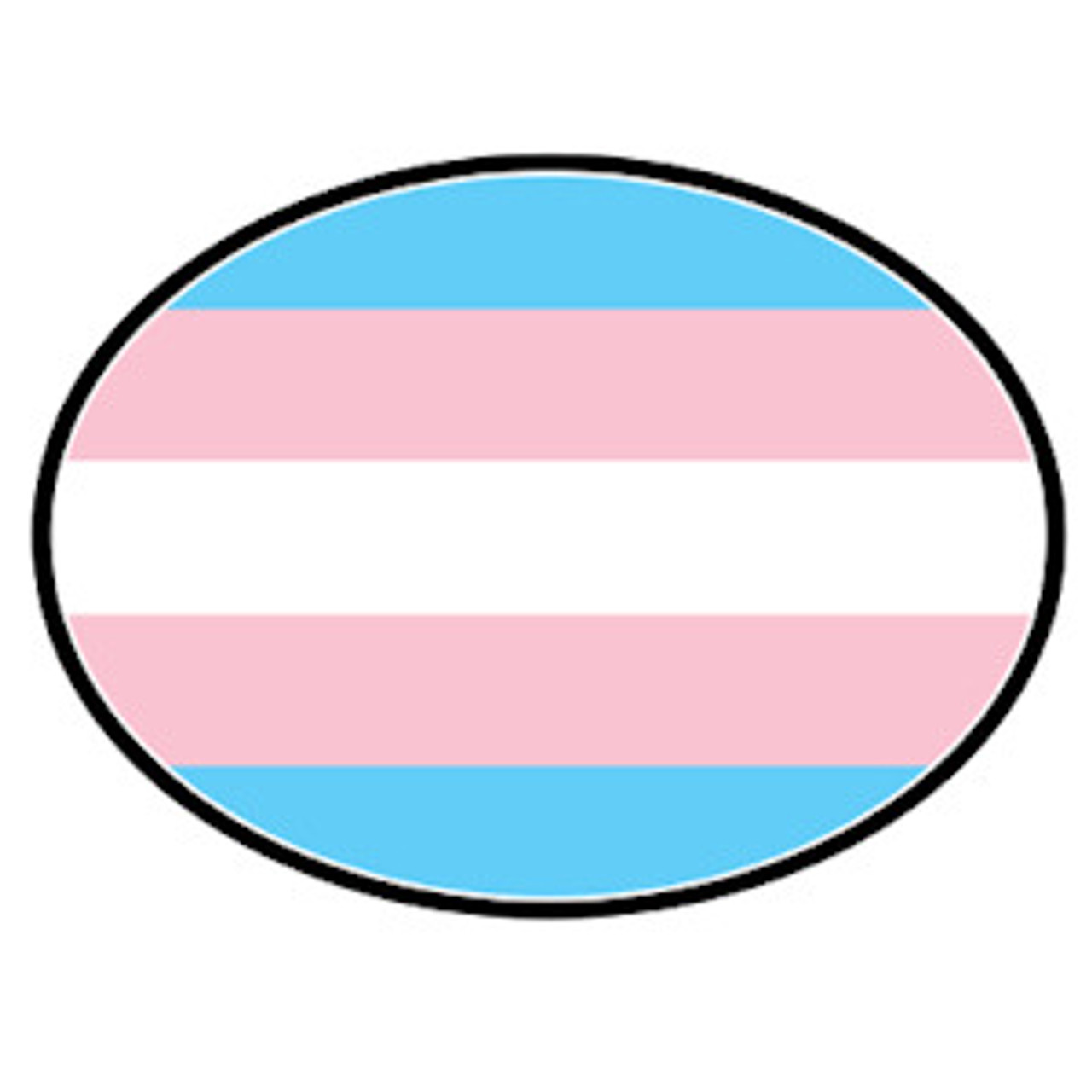 Transgender Flag - Transgender Pride LGBT Flag - Oval Car Magnet  transgender flag, transgender symbol, trans pride flags, transfem flags, transmasc flags, transgender car, transgender bumper, LGBTQ magnets, trans pride flag car magnet,  transgender magnets, LGBTQ store, pride store
