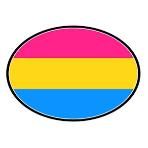 Pansexual Flag - LGBT Pan Pride - Oval Car Magnet (Pan Sexual Flag