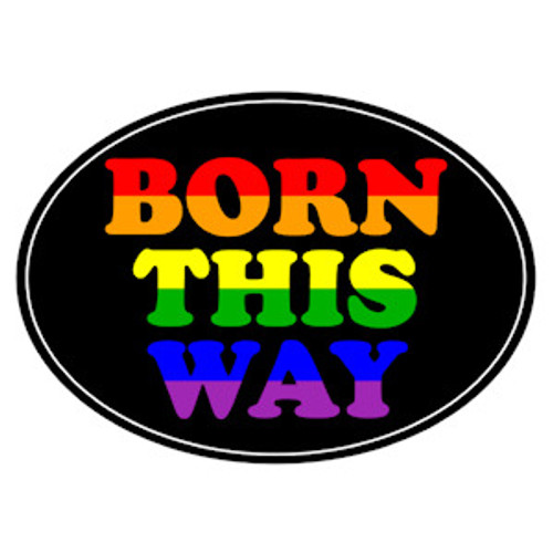 Born This Way - Pride LGBT Gay and Lesbian - Car Magnet - Black and Rainbow LGBTQ ,magnets  gay flags