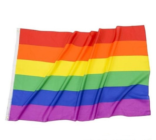 Rainbow Pride Flagge 2 Stück - Regenbogen Wimpelkette 1,5x3 Ft, Polyester, Für Balkon, Paraden & LGBTQ Feiern