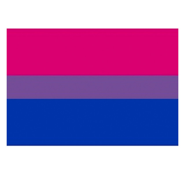 Bisexual / Bi Pride Flag Sticker for Car (2x3