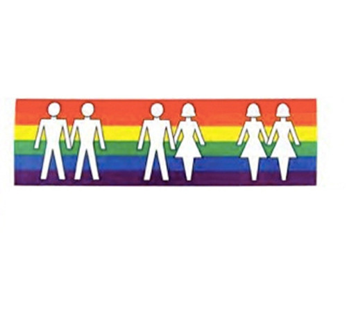 Click to get Love is Love  Rainbow with all couples  Bumper Sticker 25 x 925 inch  LGBT Straight Lesbian and Gay Pride Car  Vehicle Decal