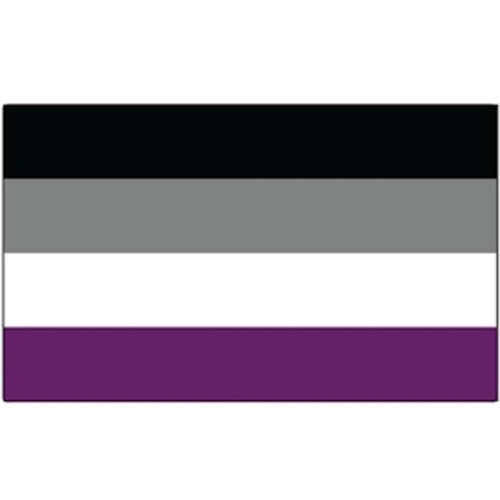 Click to get Asexual Flag Pride  Rectangle Car Bumper Sticker 3x5 inches