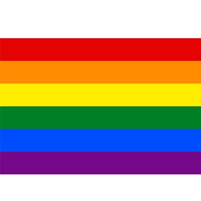 Click to get 35x25 Inch Car Decal Sticker Rainbow Pride LGBT Gay  Lesbian  Standard Rainbow Banner Sticker  Bumper  Car etc
