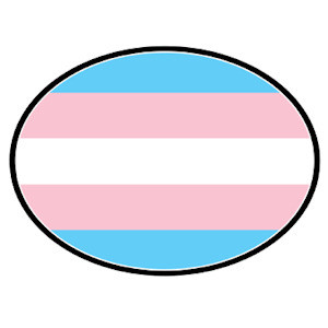 Click to get Transgender Flag  Transgender Pride LGBT Flag  Oval Car Magnet