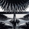 FERROFLUID-0500 ~ 500 ml | EFH1 Ferrofluid for magnetic domain visualization | Not for use in speakers.
