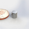 R250BN45 ~ Neodymium Rod magnet | 1/4" Dia | 1/4" Long |  Ni-Cu-Ni Plated | Grade N45 | NdFeB | Magnetized Axially, through the length