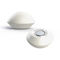 WB250D Button Magnets